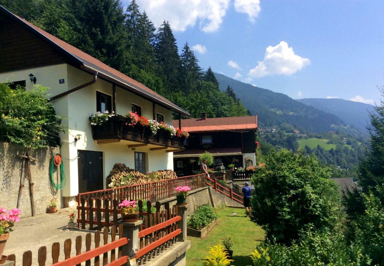 Panoramahaus Daire Radenthein Dış mekan fotoğraf